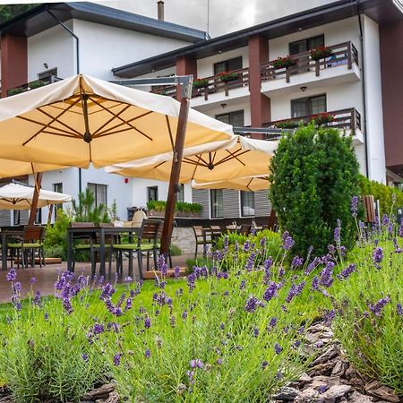 Piatra Pinului Ski & Spa Gura Humorului Dış mekan fotoğraf